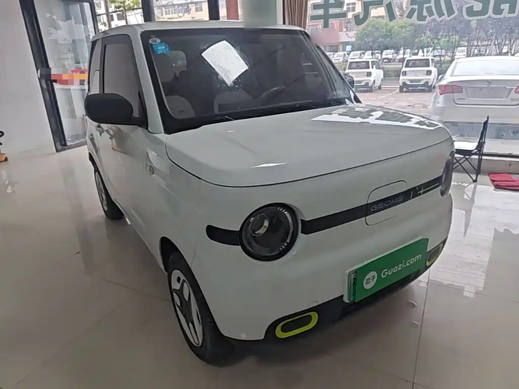 Geely Galaxy Panda 2025 Panda mini 210km Vitality Bear фото 4