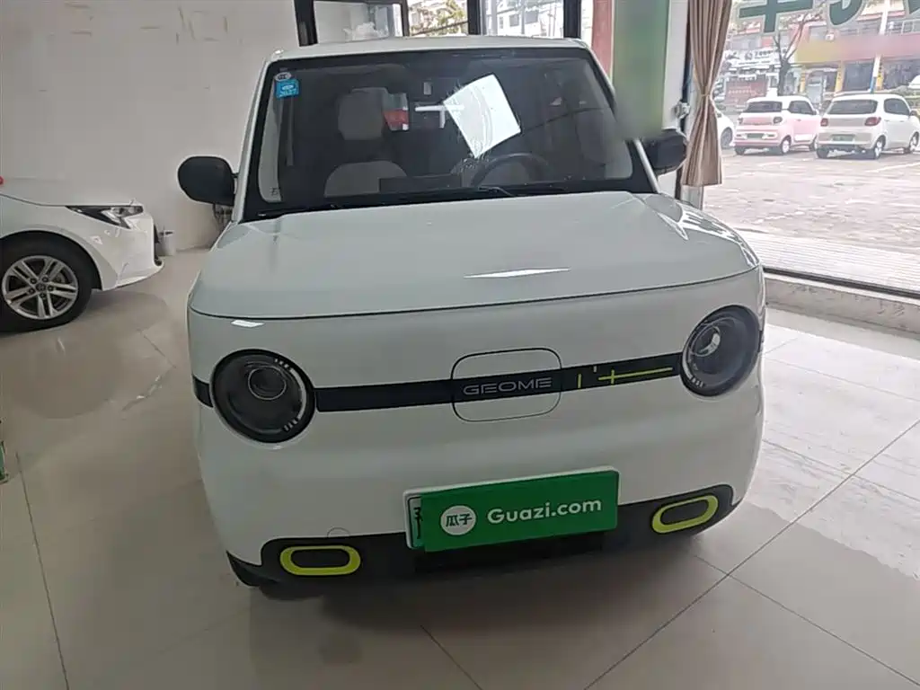 Geely Galaxy Panda 2025 Panda mini 210km Vitality Bear фото 3