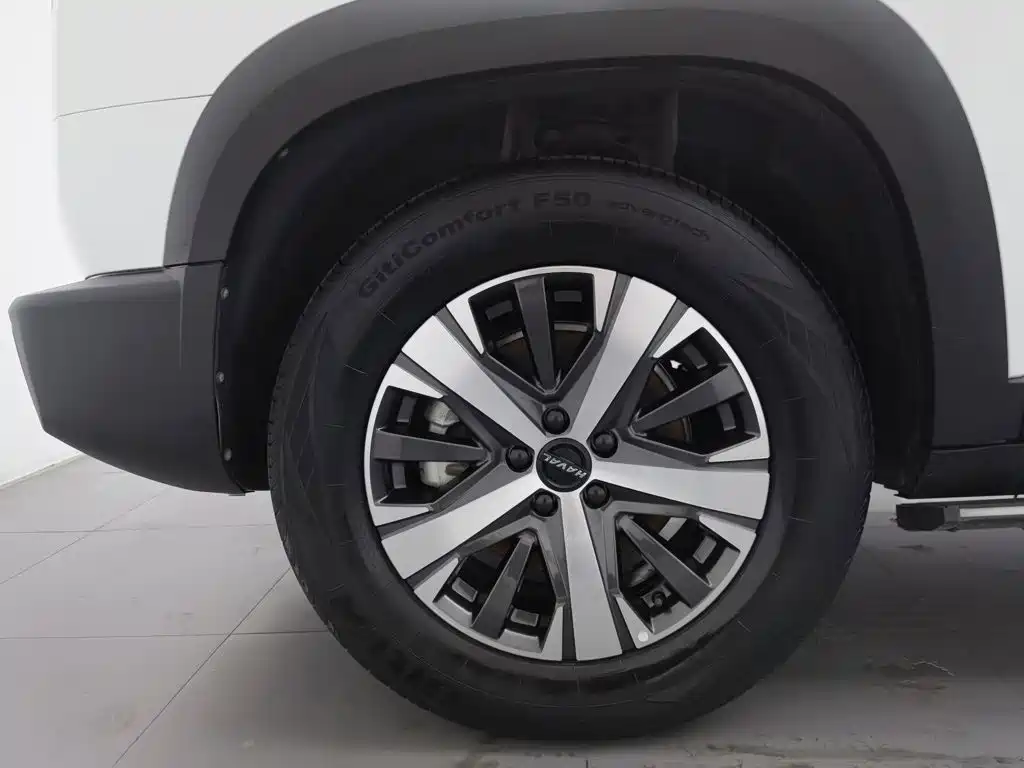 Haval Big Dog, миниатюра 17