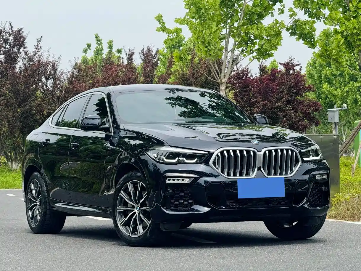 BMW X6 2021 xDrive30i M Sport Package фото 3
