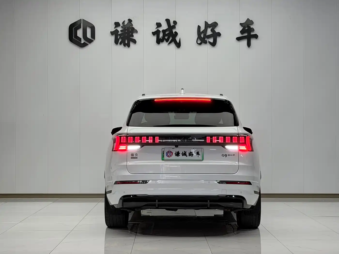 Lynk & Co 09 EM-P 2023 2.0TD EM-P Long Range PM 6-Seater фото 6