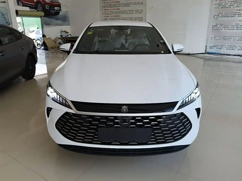 BYD Qin PLUS 2026 DM-i Smart Edition 128KM Progressive фото 3