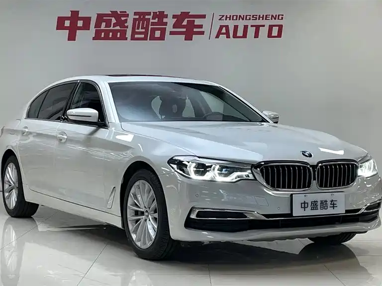 BMW 5 Series 2020 530Li xDrive Luxury Package фото 3