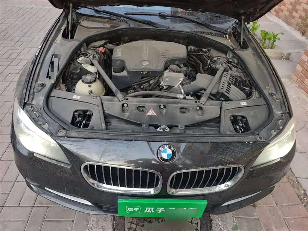 BMW 5 Series 2014 520Li Elegance фото 11