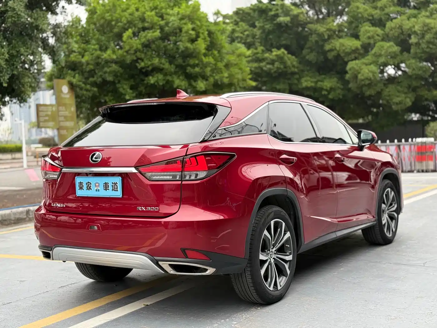 Lexus RX 2020 300 4WD Elegance Edition China VI фото 5