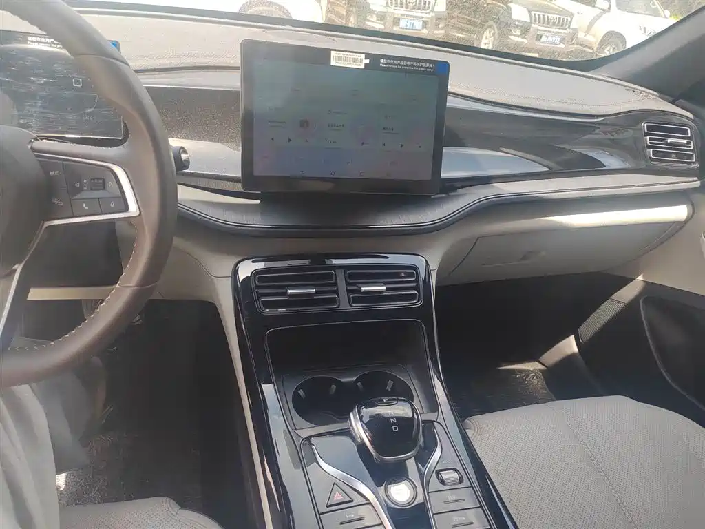 BYD Qin PLUS 2024 Glory Edition DM-i 55KM Leading фото 2