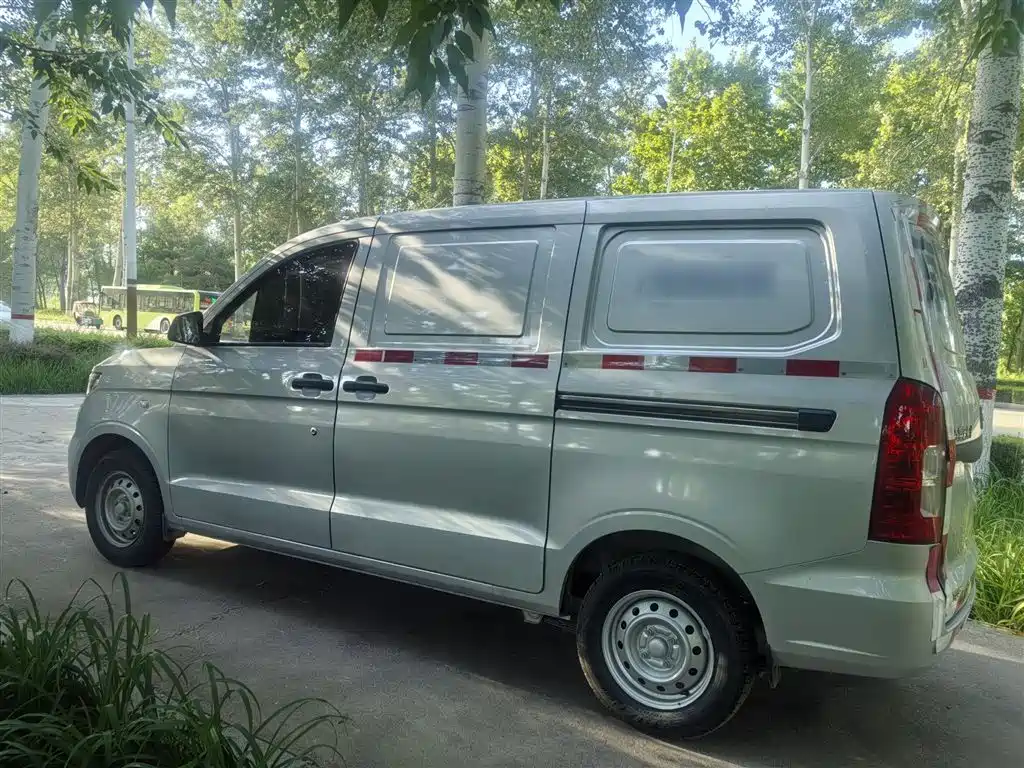 Wuling Motors Wuling Hongguang V 2025 2022 1.5L Dynamic Edition Windowless Van Hydraulic Power Steering LAR