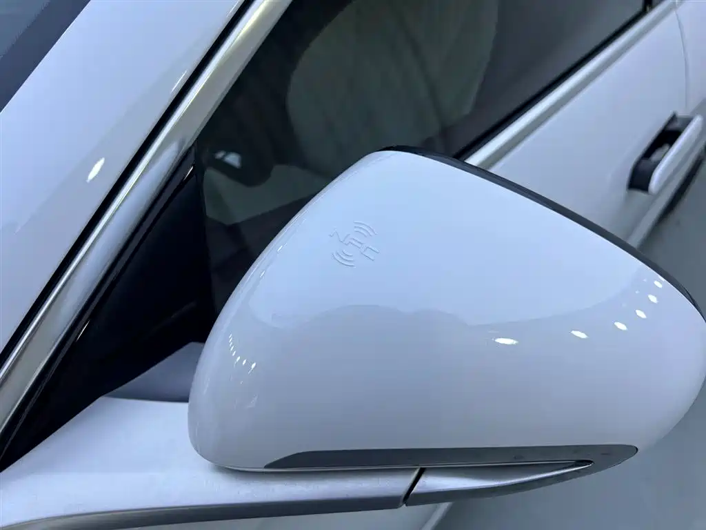 BYD Seal 2023 DM-i 1.5T 121km Flagship фото 24