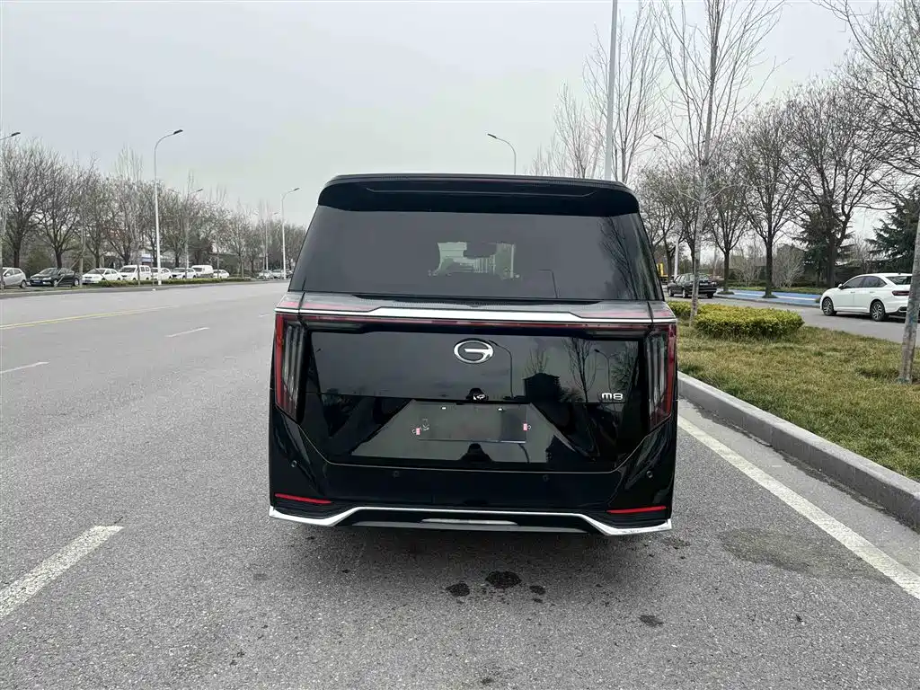 GAC Trumpchi Trumpchi M8 2024 Master Series 400T Premium Edition фото 13