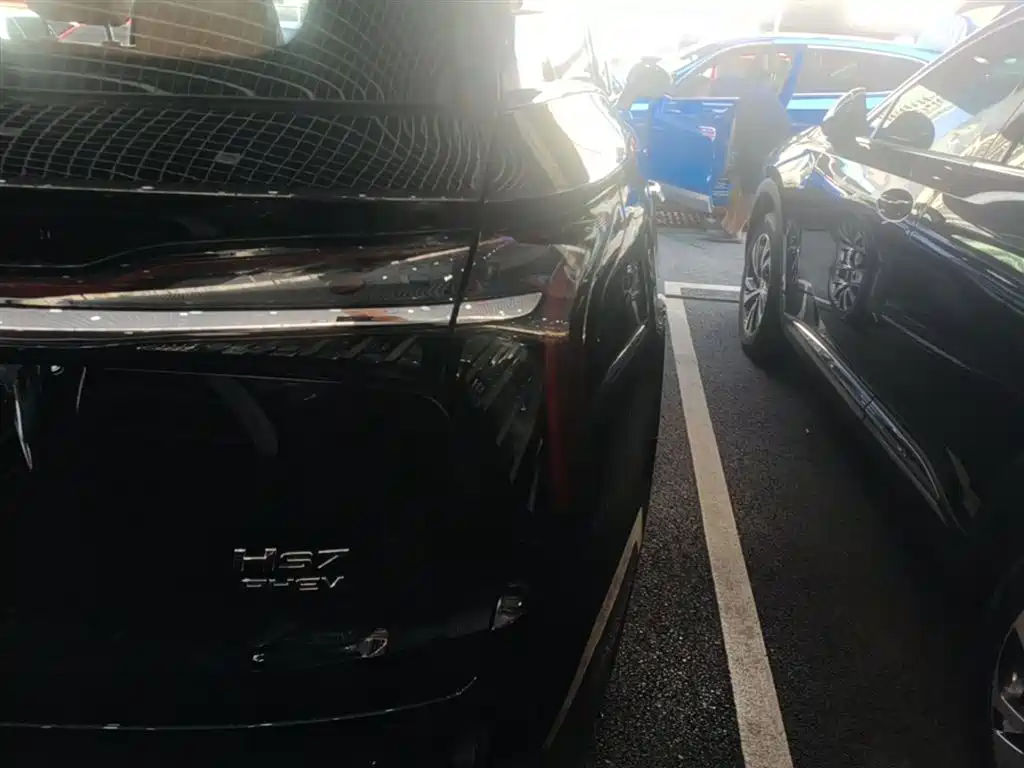 Hongqi HS7 PHEV 2025 2.0T PHEV 4WD 6-Seater Commemorative Edition фото 8