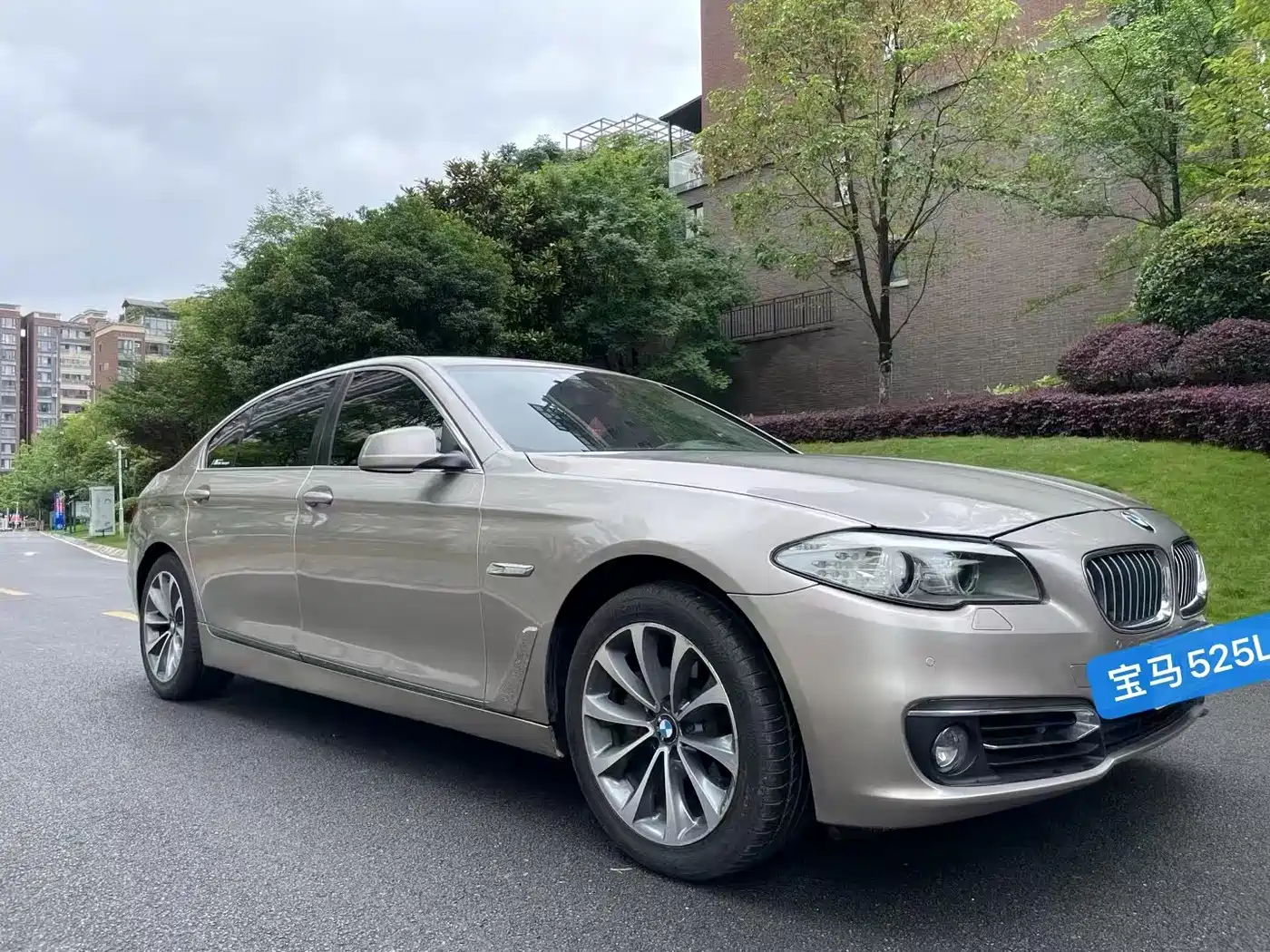 BMW 5 Series 2013 525Li Leadership фото 3