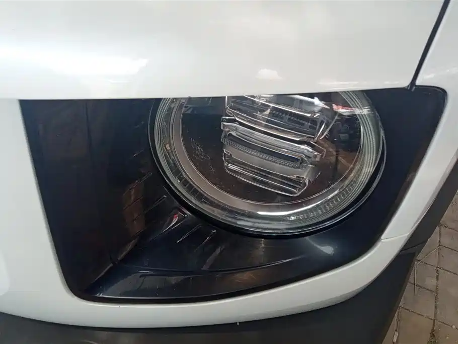 Haval Big Dog 2021 1.5T DCT 2WD Labrador Edition фото 5