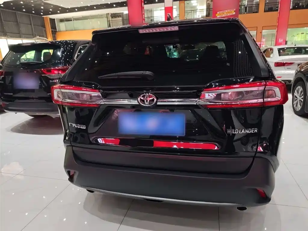 Toyota Wildlander 2023 2.0L CVT FWD LE фото 14