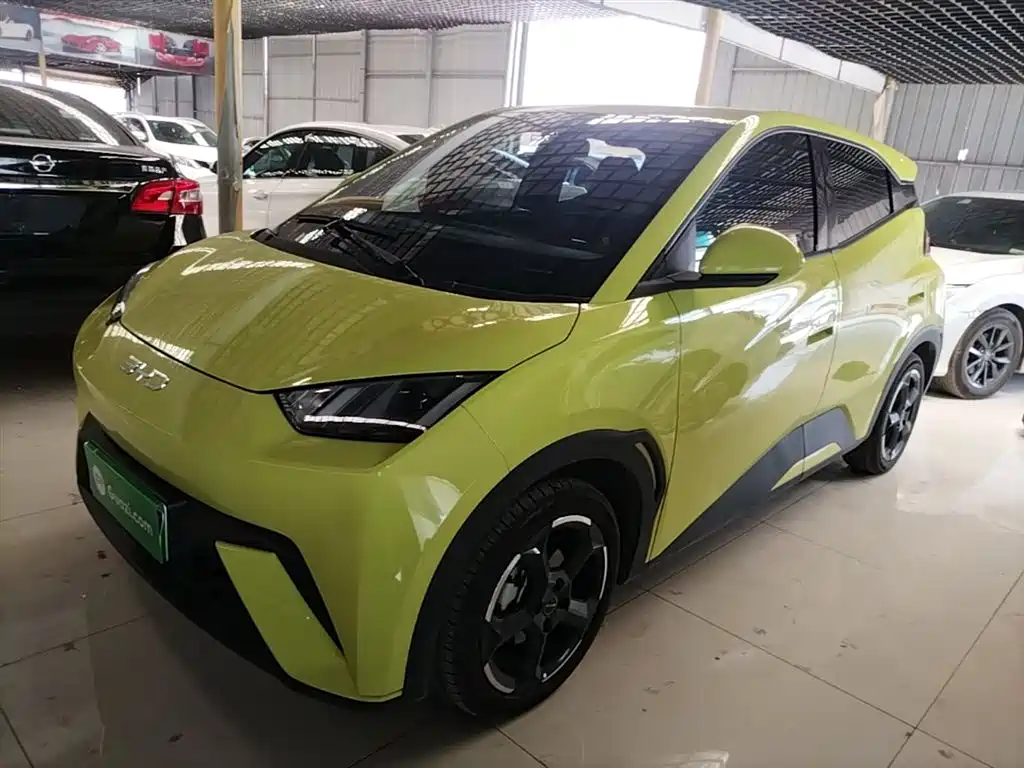 BYD Seagull 2024 Glory Edition 305km Freedom Edition