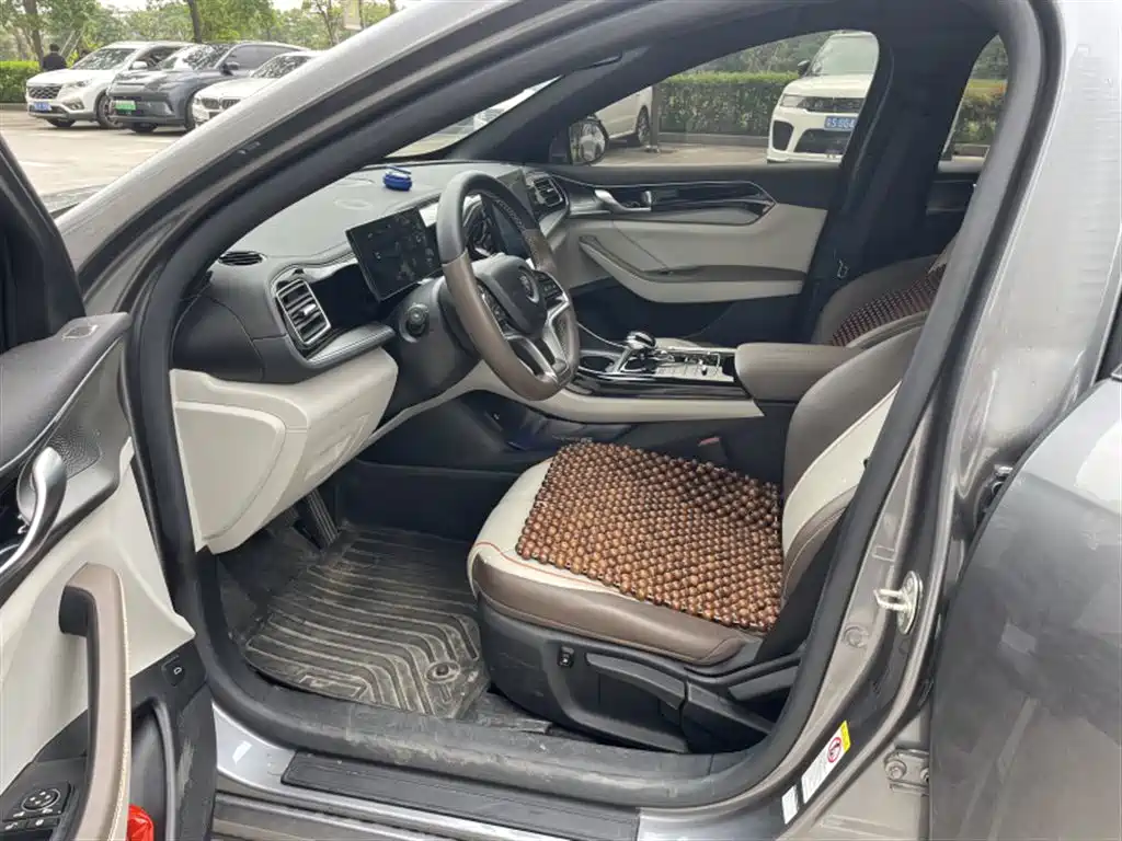 BYD Qin PLUS 2024 Glory Edition EV 420KM Leading фото 6