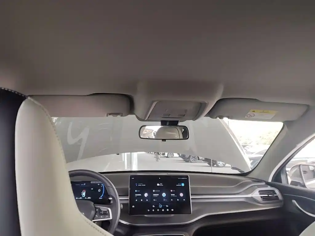 BYD Destroyer 05 2024 Glory Edition DM-i 55KM Luxury фото 18