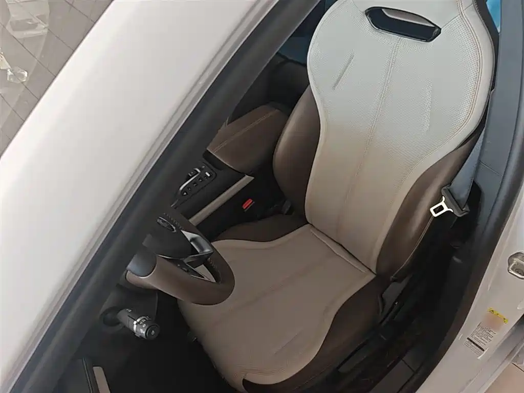 BYD Qin PLUS 2024 Glory Edition DM-i 55KM Leading фото 15