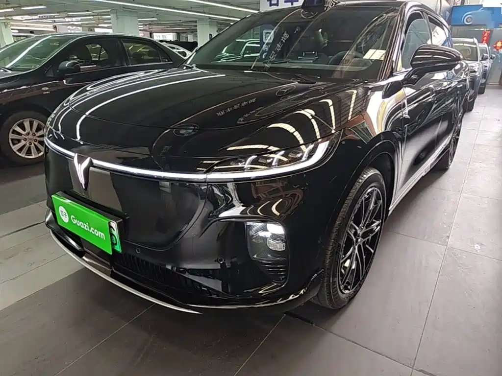 Voyah Auto Voyah Zhiyin 2025 Base