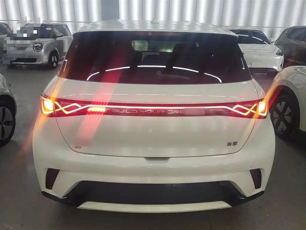 BYD Dolphin 2024 Glory Edition 420km Freedom Edition фото 6