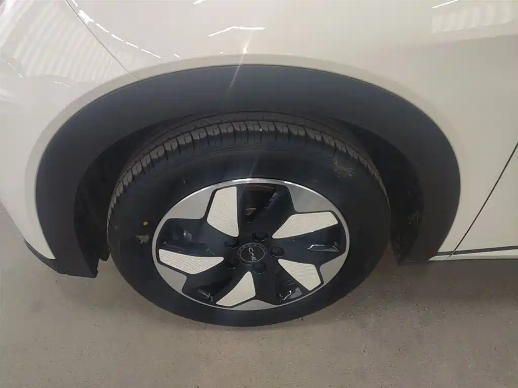 BYD Dolphin 2024 Glory Edition 420km Freedom Edition фото 23