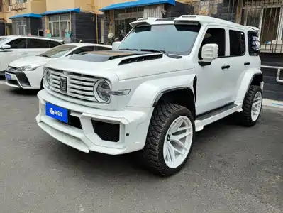 Tank 300