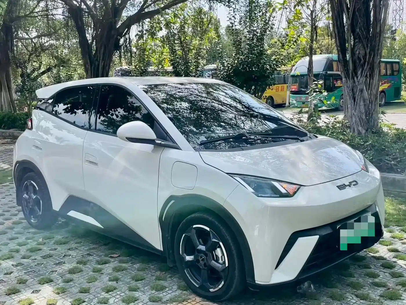 BYD Seagull 2024 Glory Edition 305km Freedom Edition фото 3
