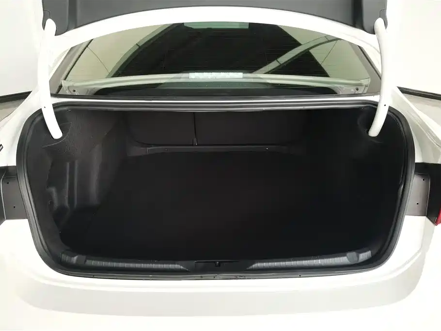 Volkswagen Lamando 2019 280TSI DSG Comfort Edition China VI фото 4