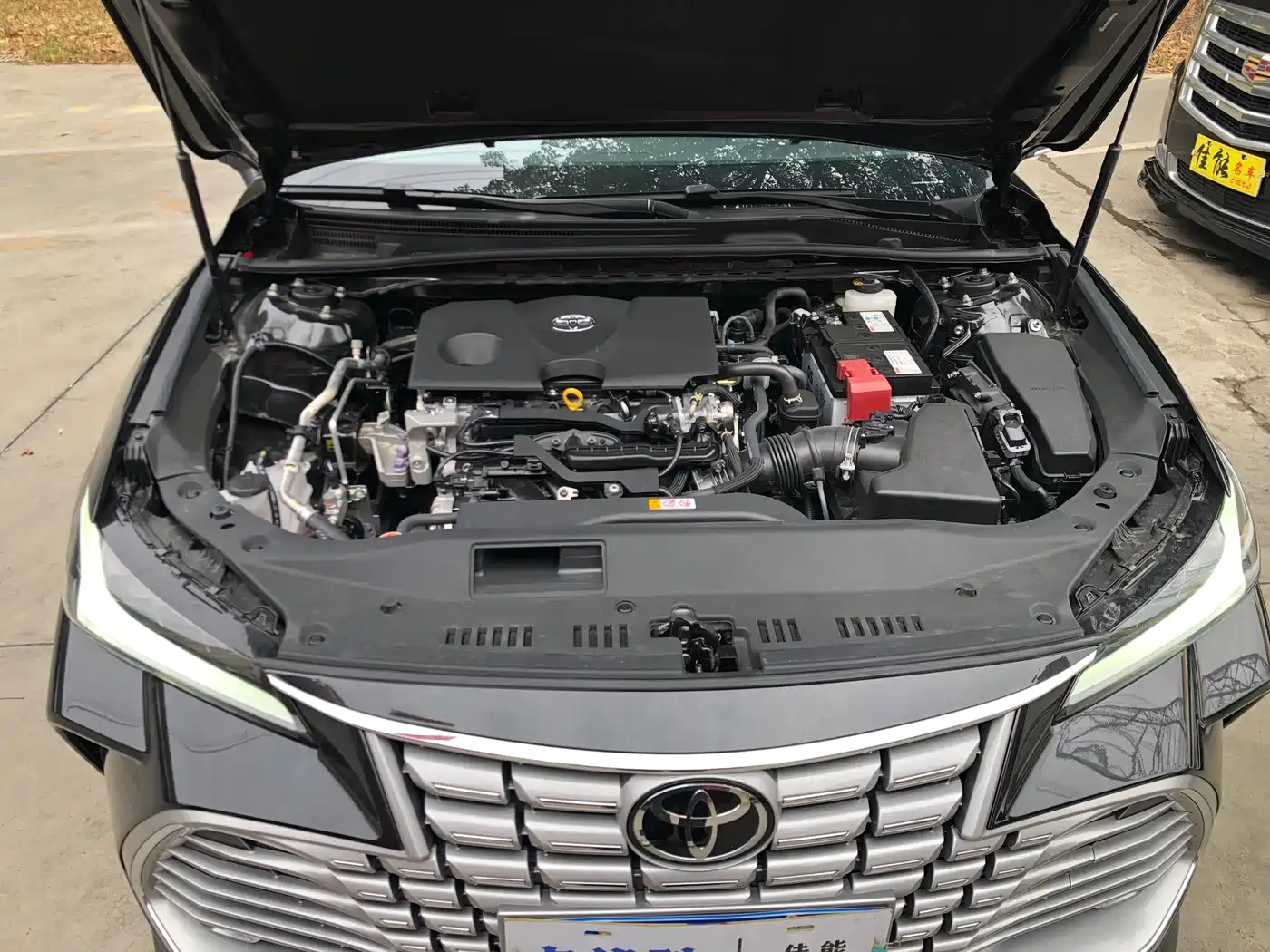 Toyota Avalon 2024 Model 2.0L Progressive Edition фото 25