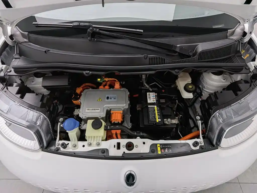 Ora White Cat 2020 2020 360km Luxury Model