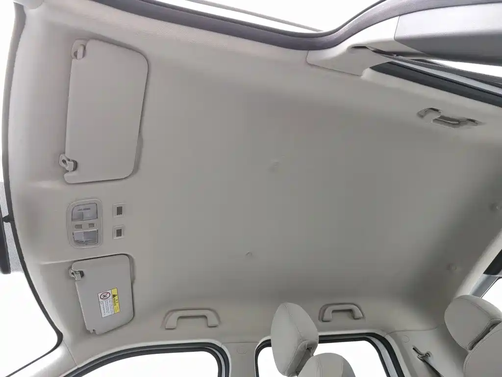 Ora White Cat 2020 2020 360km Luxury Model