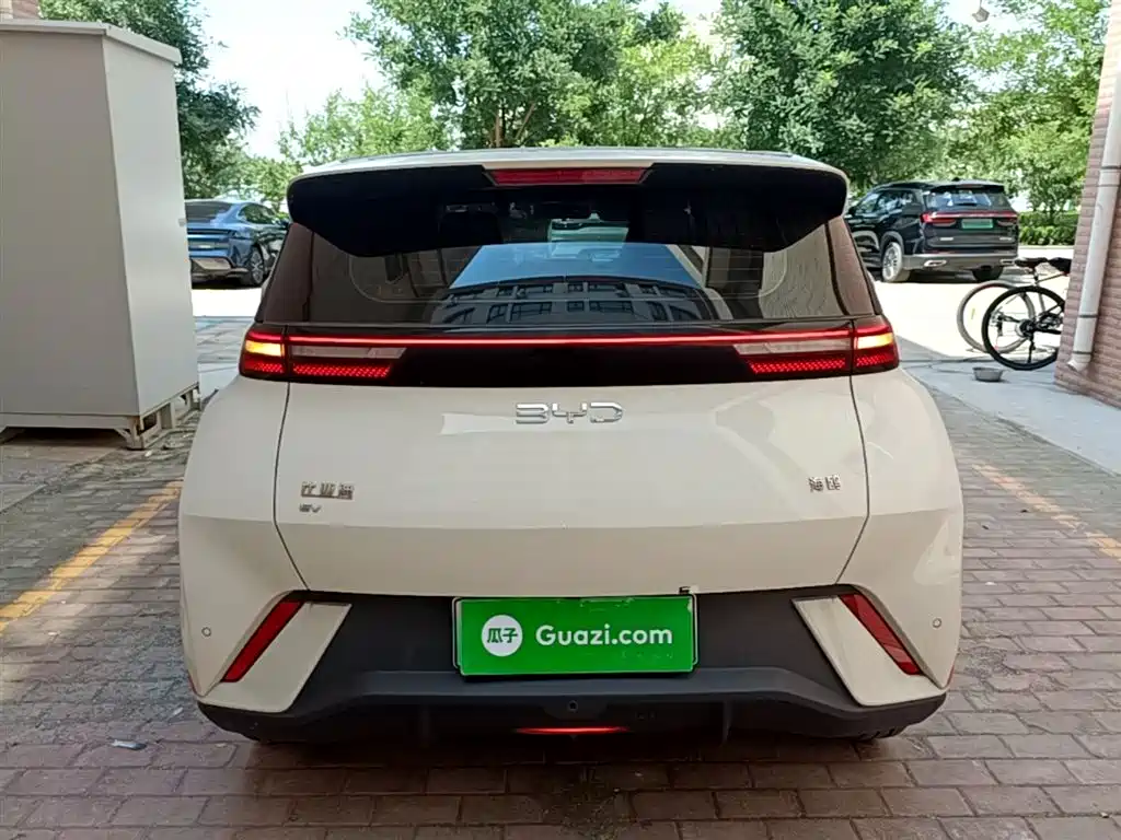 BYD Seagull 2024 Glory Edition 305km Freedom Edition фото 6