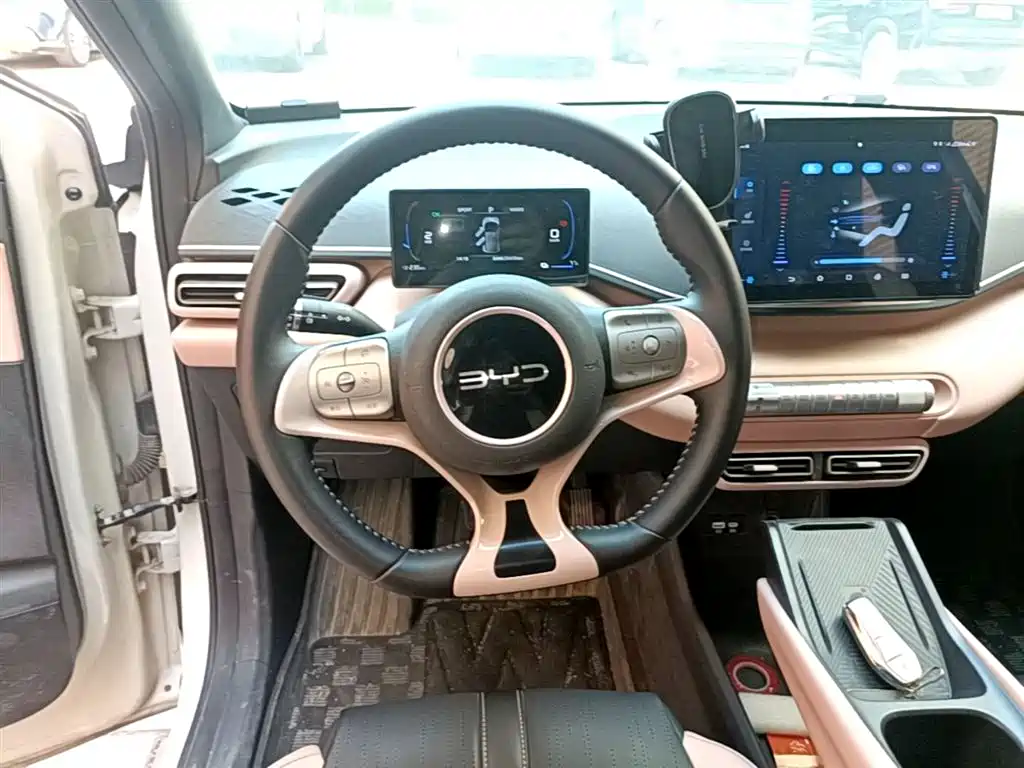 BYD Seagull 2024 Glory Edition 305km Freedom Edition фото 11