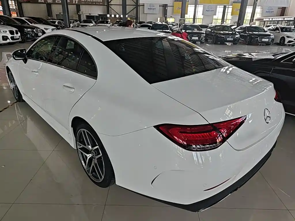 Mercedes-Benz CLS 2020 CLS 300 Dynamic фото 5