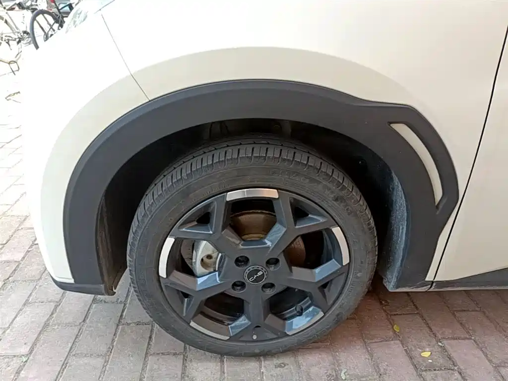BYD Seagull 2024 Glory Edition 305km Freedom Edition фото 23