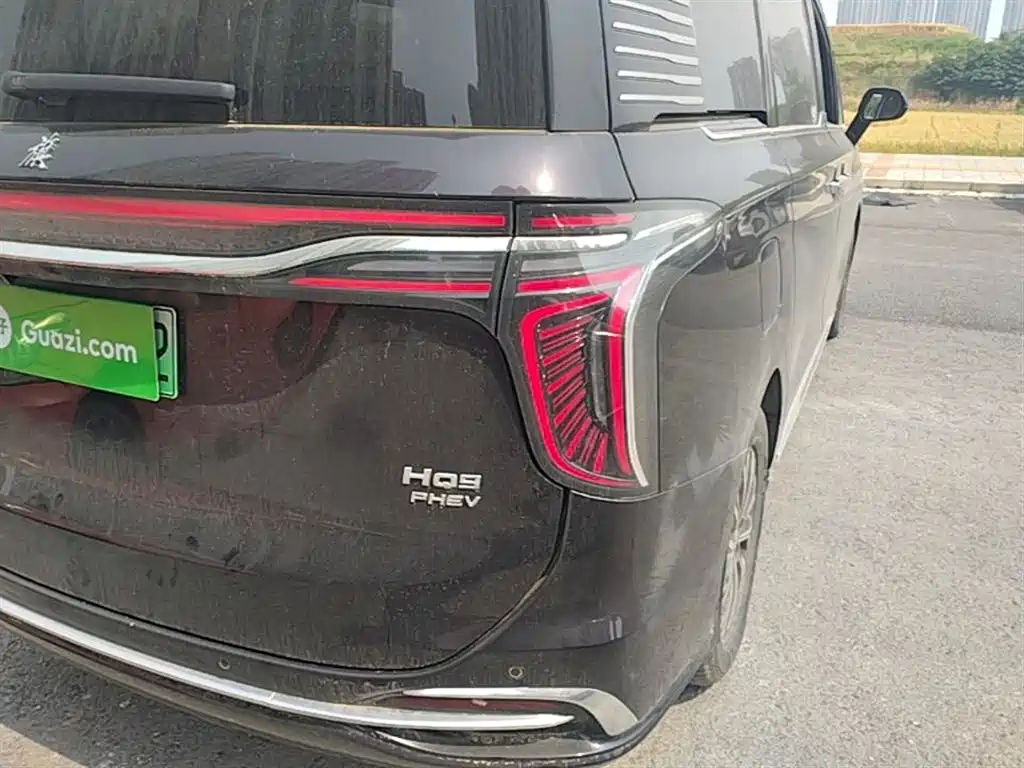 Hongqi HQ9 PHEV 2024 Model 2.0T AWD Business Edition фото 8