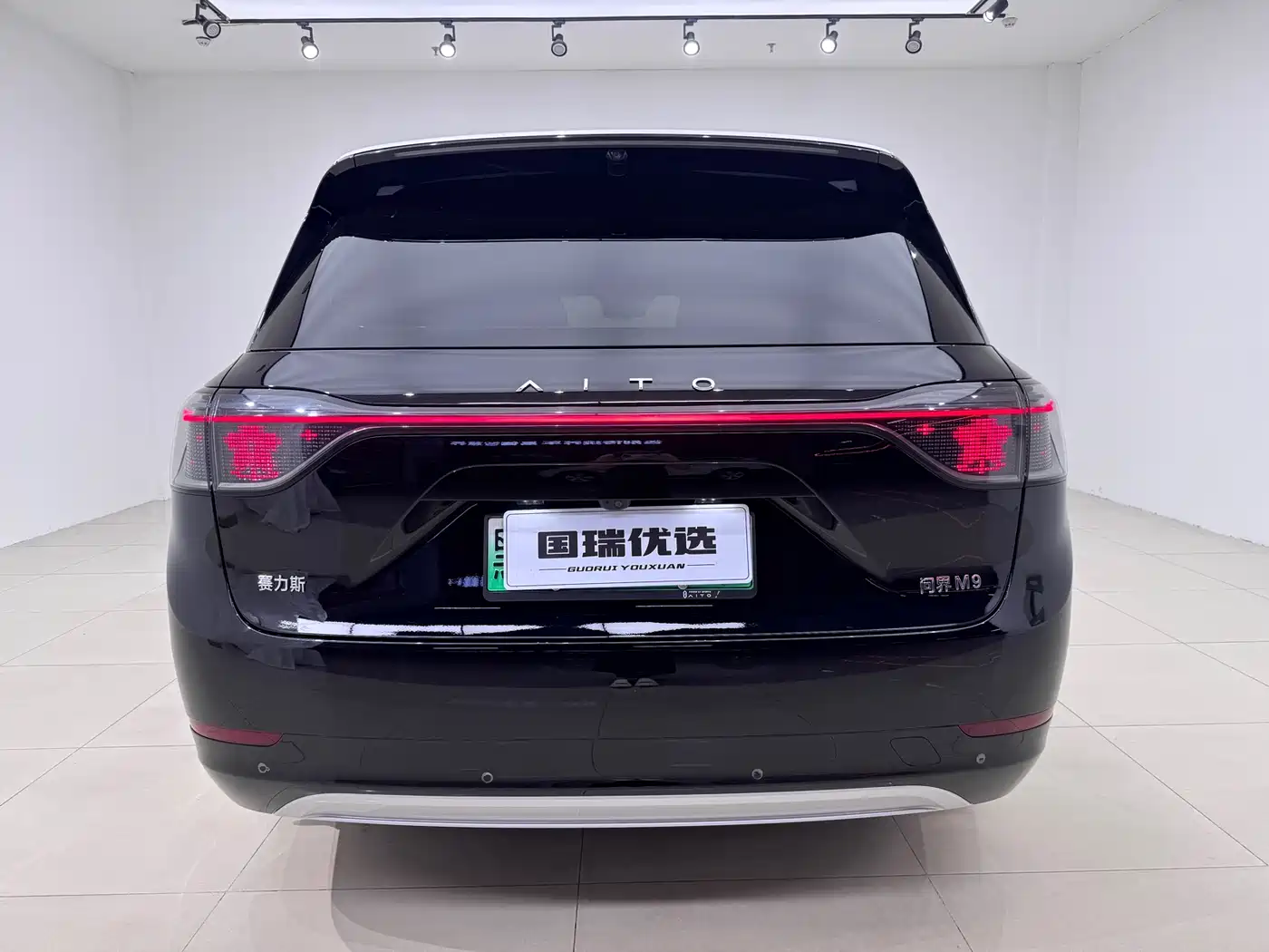 AITO Wenjie AITO M9 2024 Extended Range Ultra 42kWh 6-Seater фото 5