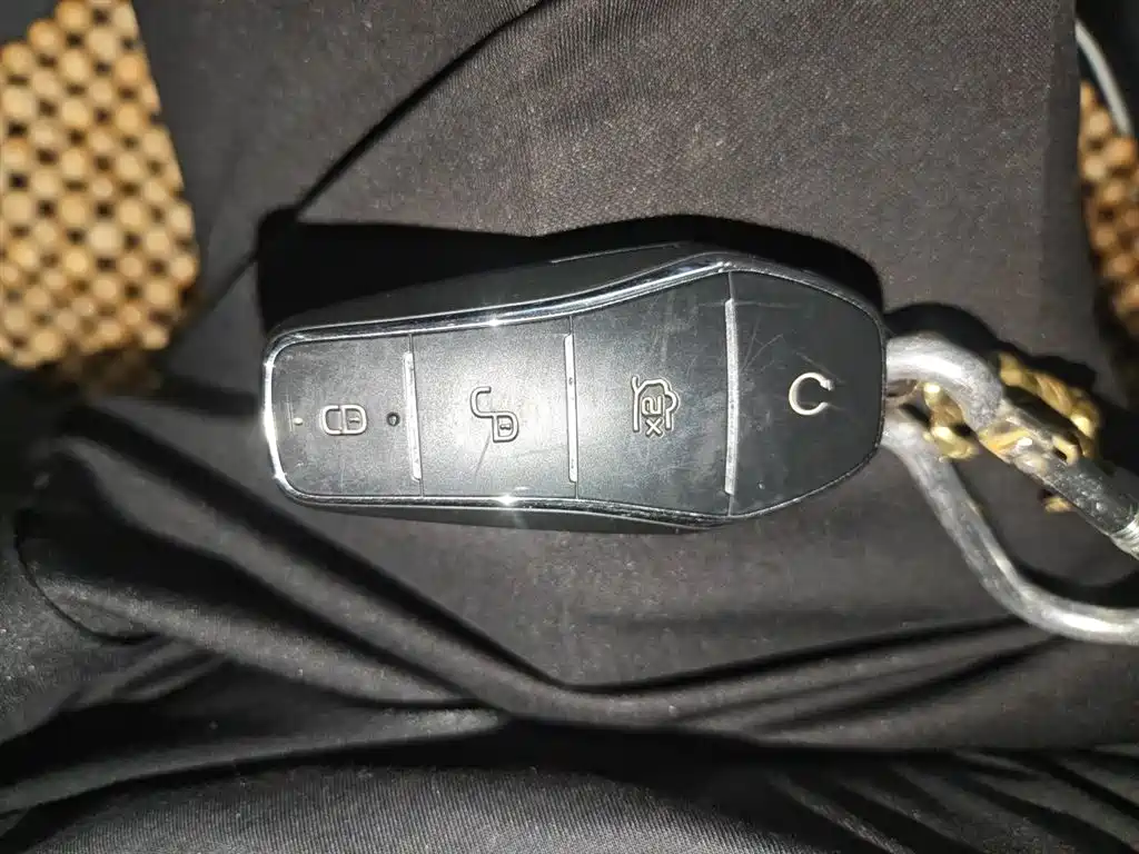 BYD Qin PLUS 2021 EV 500KM Luxury Model фото 12
