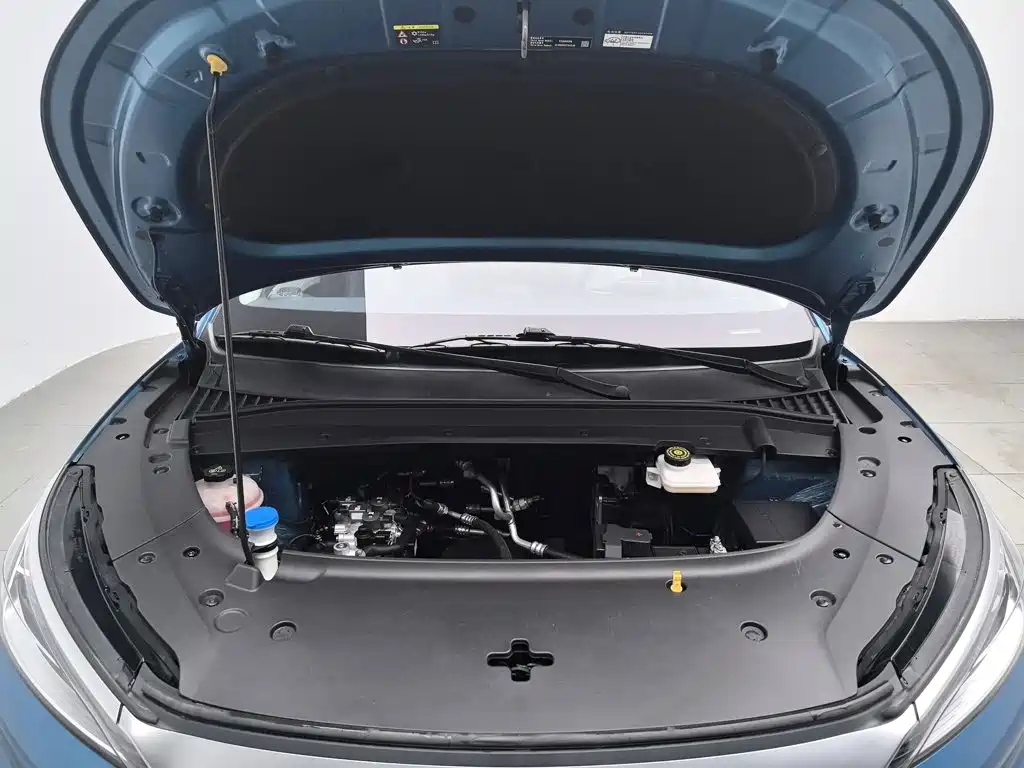 BYD Yuan PLUS 2022 2022 430KM Premium