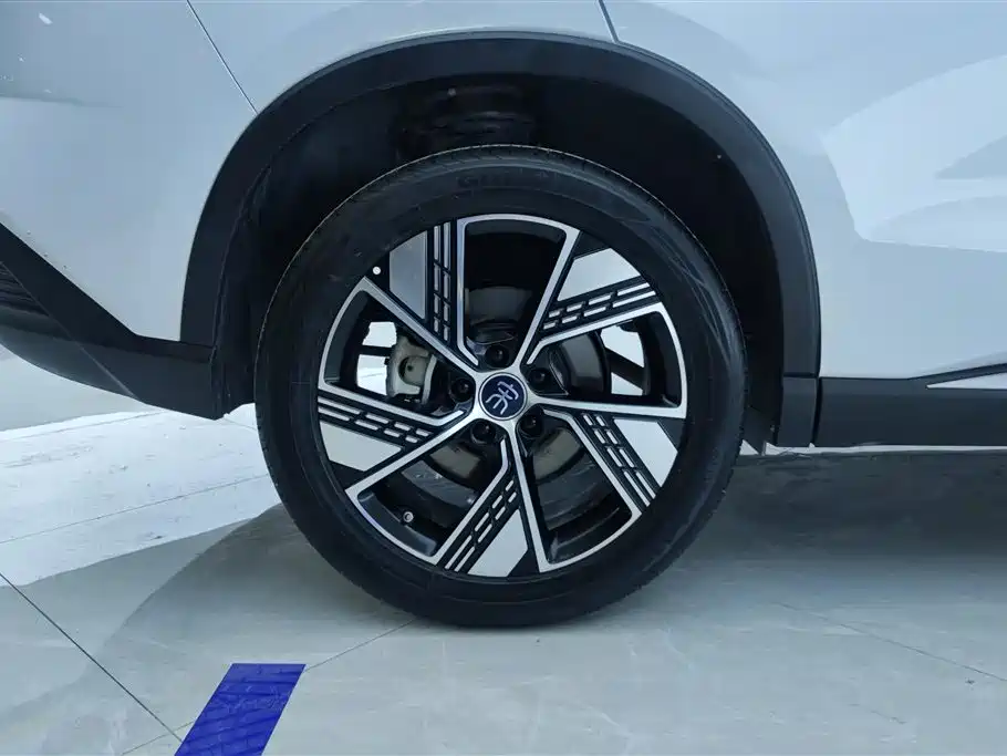 BYD Song Pro New Energy 2024 Glory Edition DM-i 110KM Excellence фото 6