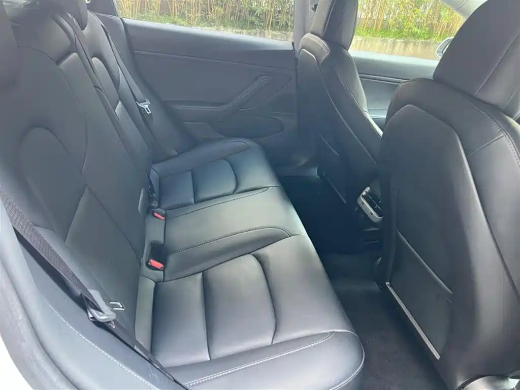 Tesla Model 3 (Import) 2020 2019 Long Range RWD Version