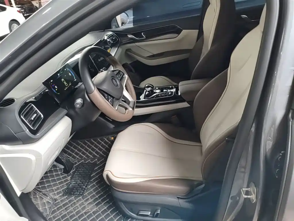 BYD Qin PLUS 2024 Glory Edition EV 420KM Surpass фото 15