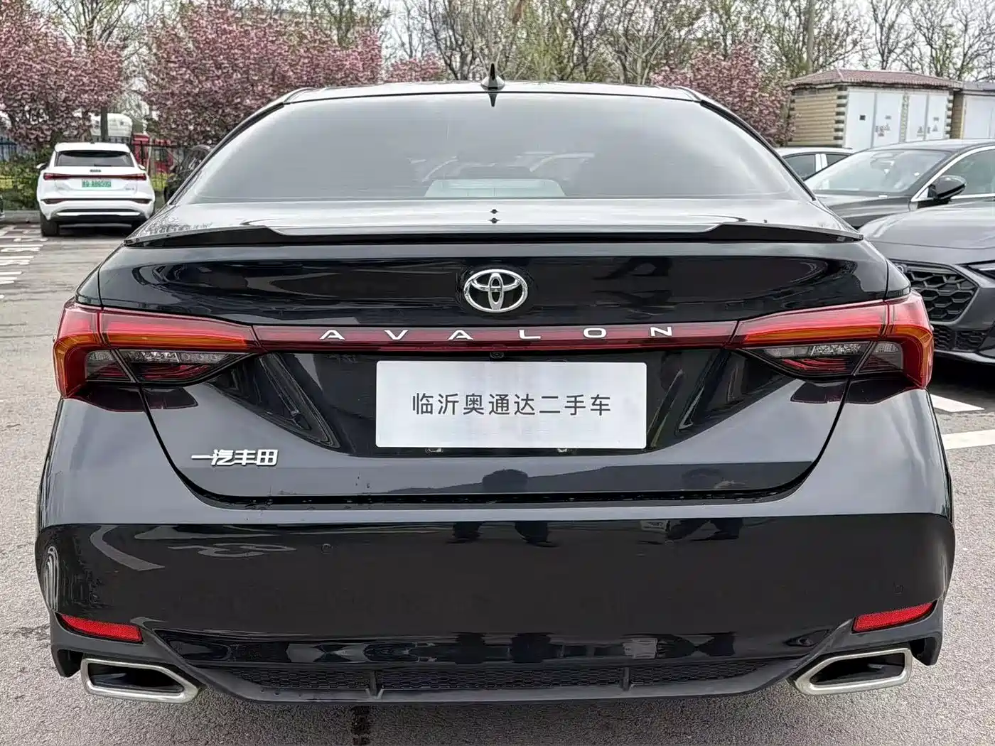 TOYOTA ASIAN DRAGON