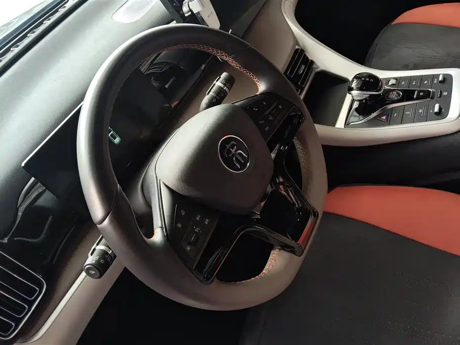 BYD Song Pro New Energy 2024 Glory Edition DM-i 71KM Pilot фото 15