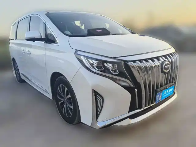 GAC Trumpchi Trumpchi M8 2023 Leading Series 390T Premium Edition — фото 3