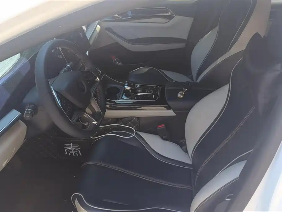 BYD Qin PLUS 2021 EV 500KM Premium Model фото 9
