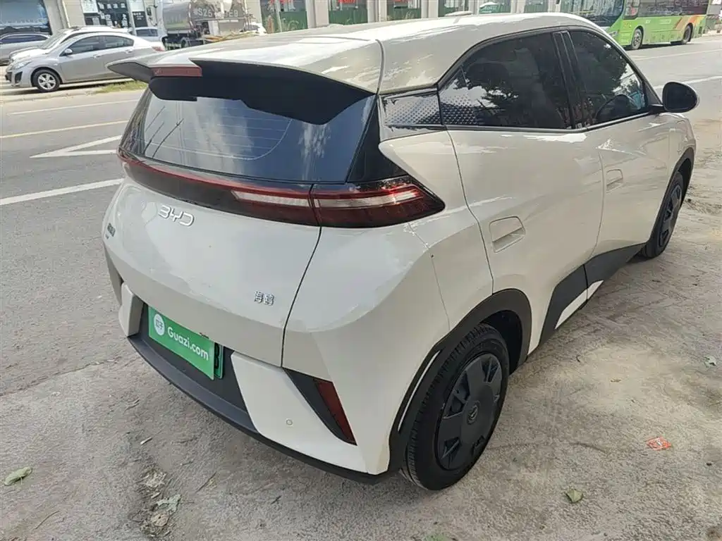 BYD Seagull 2025 Smart Drive Edition 305km Vitality Version фото 7