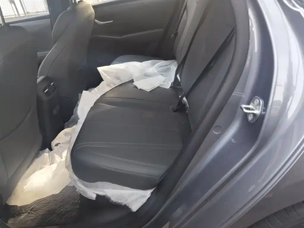BYD Qin PLUS 2026 DM-i Smart Edition 128KM Progressive фото 17