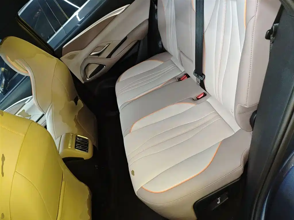 BYD Song Pro New Energy 2024 Glory Edition DM-i 71KM Pilot фото 13