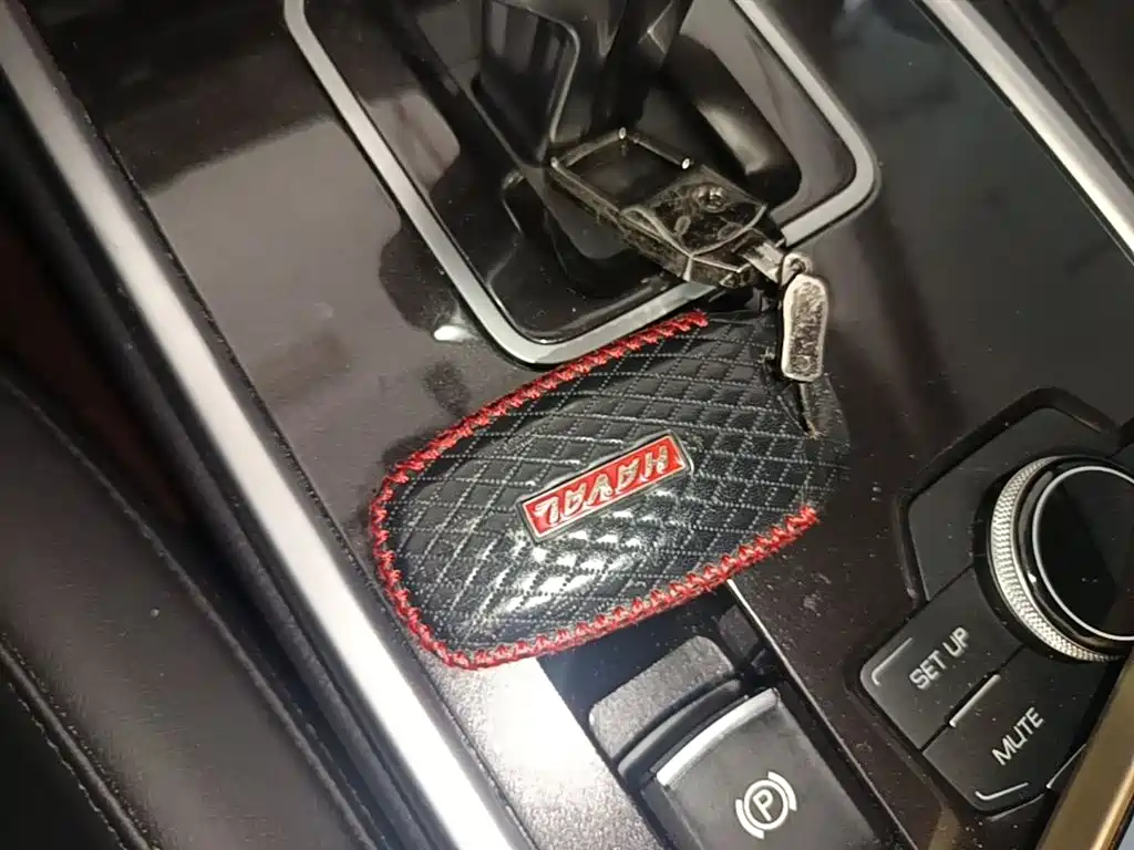 Haval H6 2018 Blue Label Sport 1.5T Automatic 2WD Elite фото 9