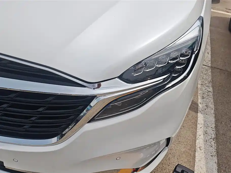 Buick GL8 2021 ES Landlord 653T Premium фото 5